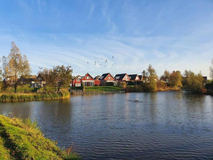 Grimaud 151 - Kustpark Village Scaldia Hoofdplaat المظهر الخارجي الصورة